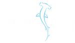 Ocean Dive League