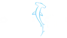 Ocean Dive League